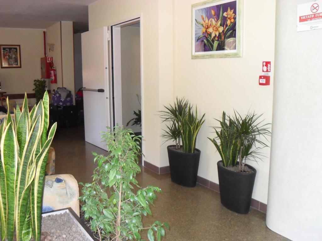 Hotel Zani Cervia Exterior photo