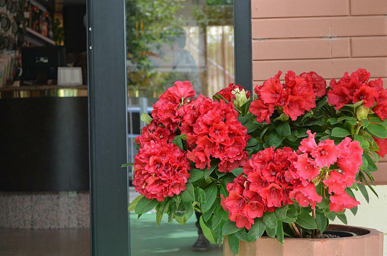 Hotel Zani Cervia Exterior photo